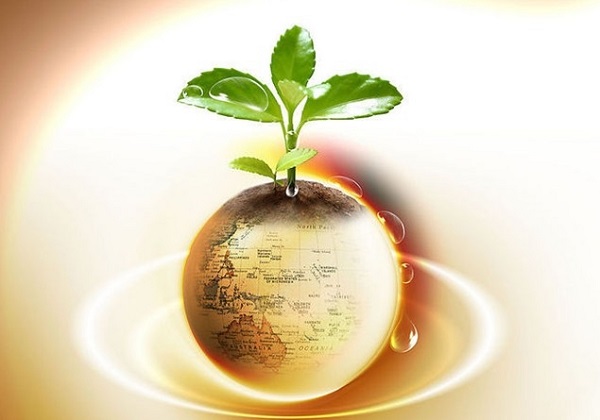 圣诞假期前全球市场迎来政策与数据密集期